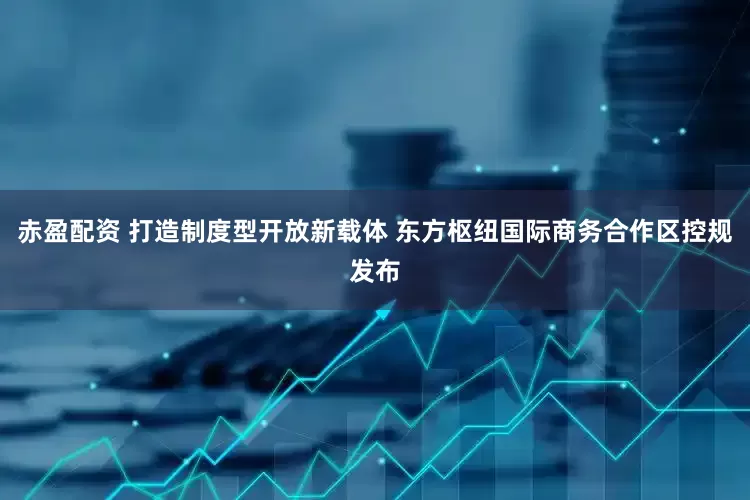 赤盈配资 打造制度型开放新载体 东方枢纽国际商务合作区控规发布