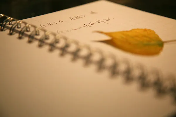 九龙证券 锐评｜当我们呼唤文字，我们在呼唤什么？