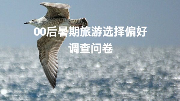 赢正通 外国旅客预订同比增三成，去哪儿旅行上线英文版