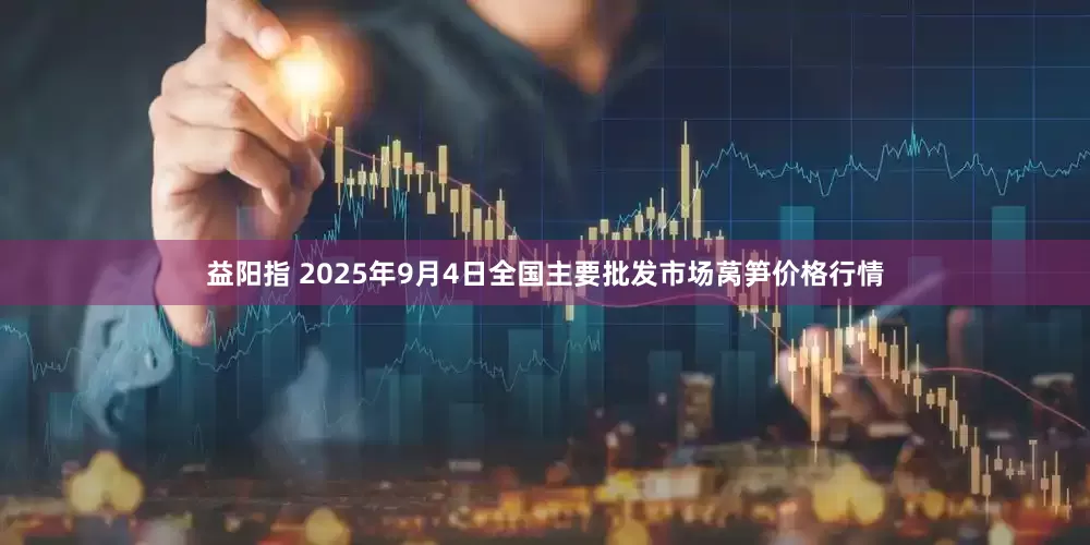 益阳指 2025年9月4日全国主要批发市场莴笋价格行情