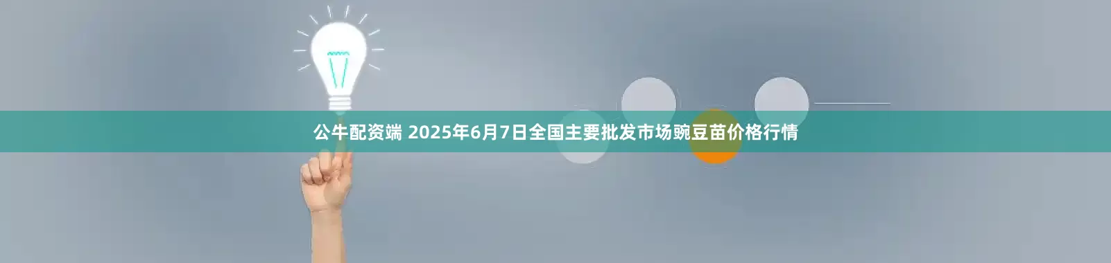 公牛配资端 2025年6月7日全国主要批发市场豌豆苗价格行情